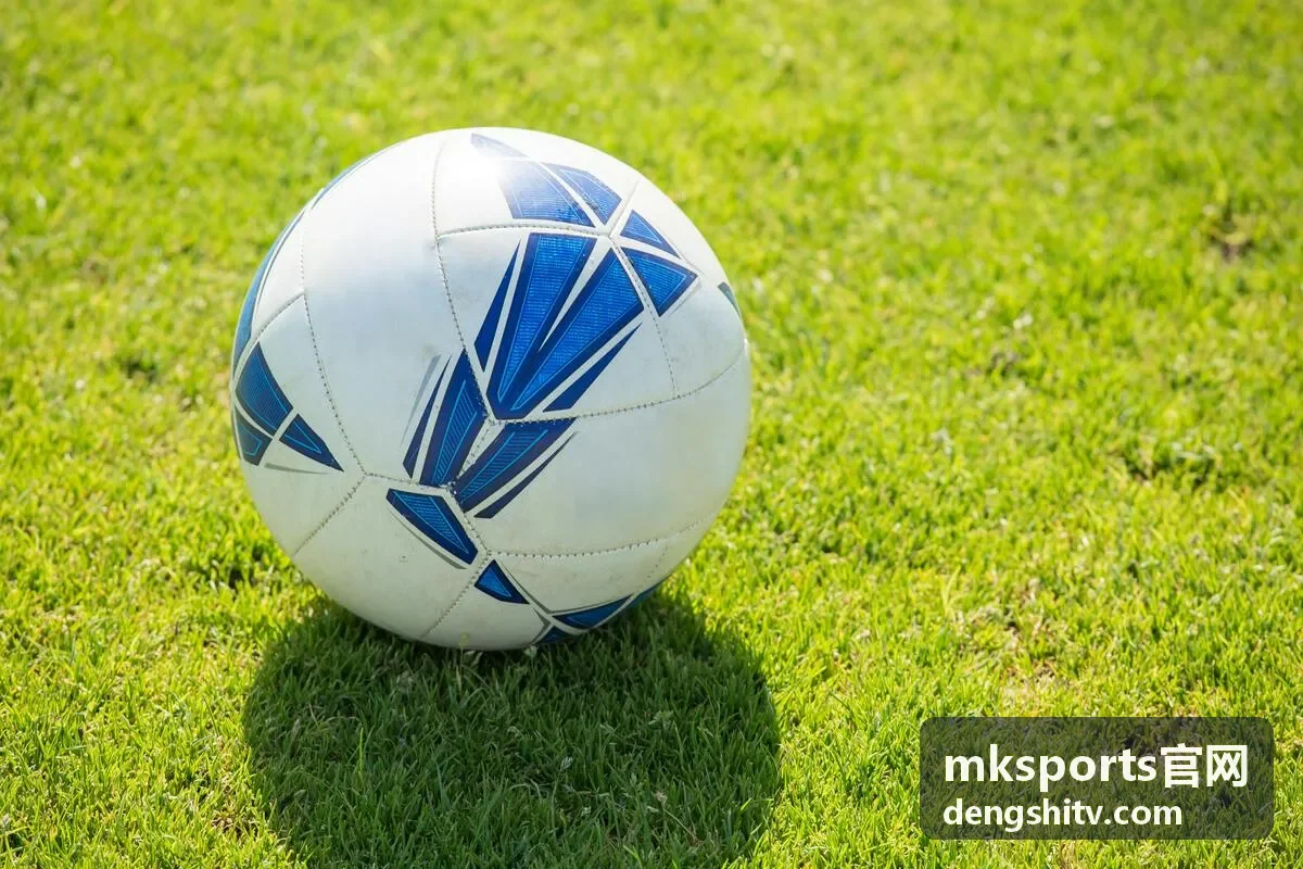 mksports官网赛事数据总览界面示意图