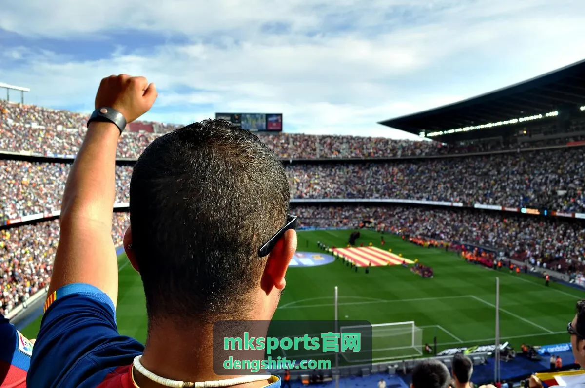 mksports官网账号安全与使用说明页面